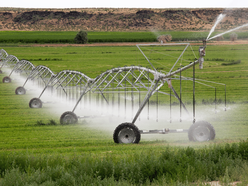 Irrigation & Land Scaping